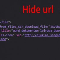 Hide file url